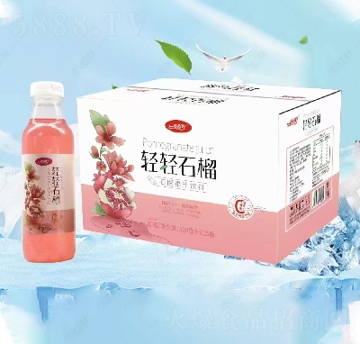 ���кÏ�(f��)�Ϲ�֭�p�pʯ��֭500ml��15