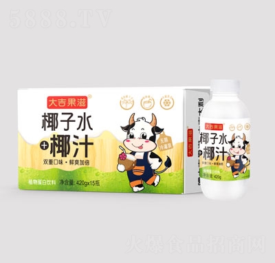 大吉果滋生椰子水+椰汁植物蛋白飲料420gX15瓶