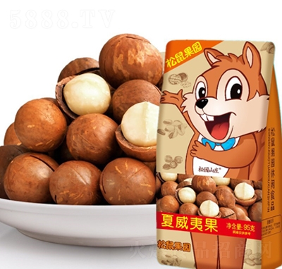 ������@�����Ĉ�(ji��n)���ɹ��W(w��ng)�t���e��ʳ