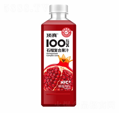 ���100%ʯ��ͺϹ�֭490ml