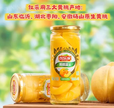 �g�����S�ҹ��^460gˮ�����^