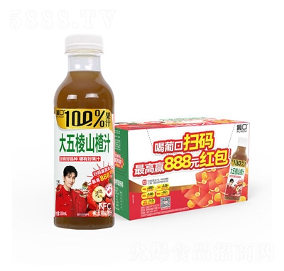 �Ͽ� 100%������ɽ�֭ 500ml��15