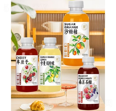 �혏�(f��)�Ϲ�֭���500ml