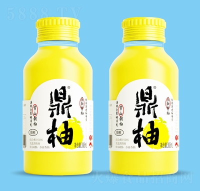 �����p��֭�ͺϹ�֭���308ml