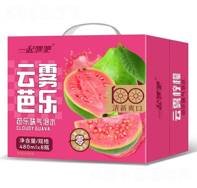 һ��ٰ����F�Ř�����ˮ480mlX8ƿ����