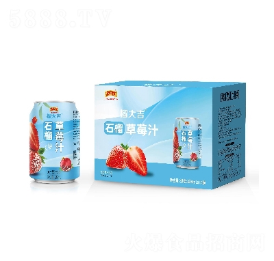 ���ϼ����ʯ���ݮ֭��(f��)�Ϲ�֭���238ml��10��