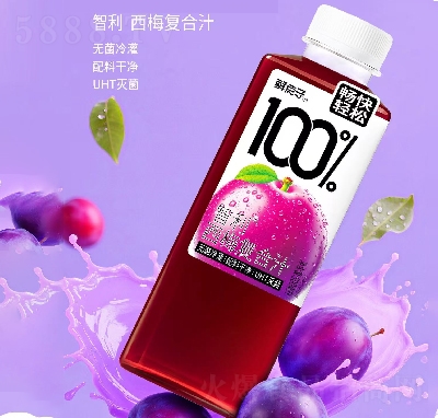 �r�c(di��n)�Ӵ�����ɹ�֭���������÷֭500ml