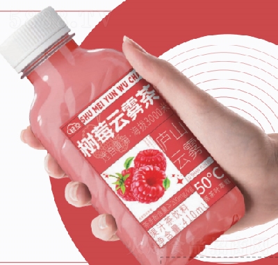 �p�՘�ݮ���F���֭�����410ml