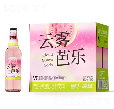 ��ȼ���F�Ř����ݹ�֭���520mlX12ƿ����