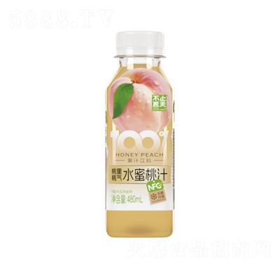 ��ֹ����100%ˮ����֭480ml