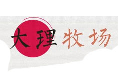 ��������(ch��ng)