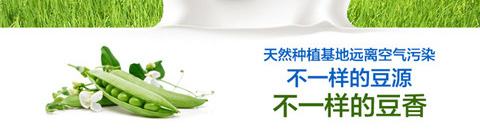 \�������̲�퓈D_04