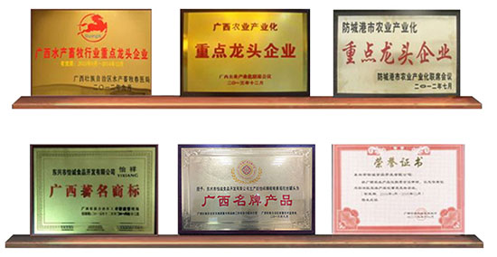 ���\��̿��ϖϠ���^1