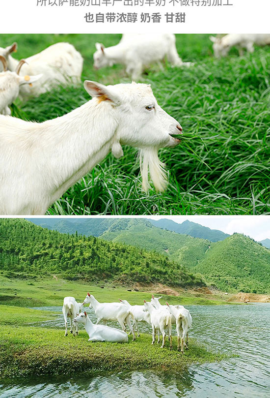 卓牧純羊奶180ml 卓牧純羊奶180ml