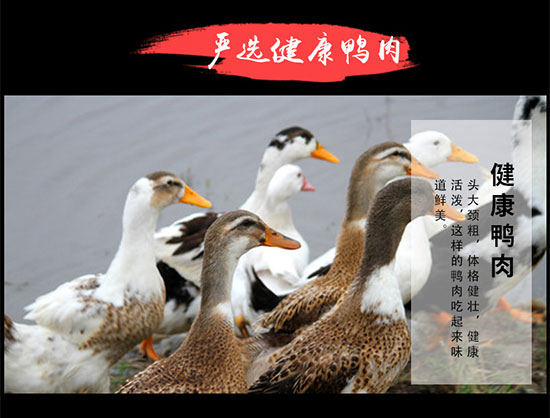 ������˺���