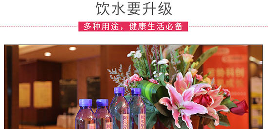 ������˹�����Ȼ�VȪˮ500mlX24ƿ