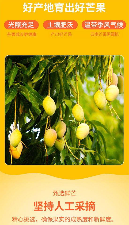 Ʒ��300mlâ��֭