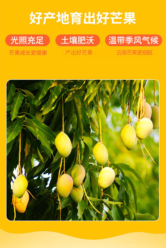 Ʒ��226mlâ��֭