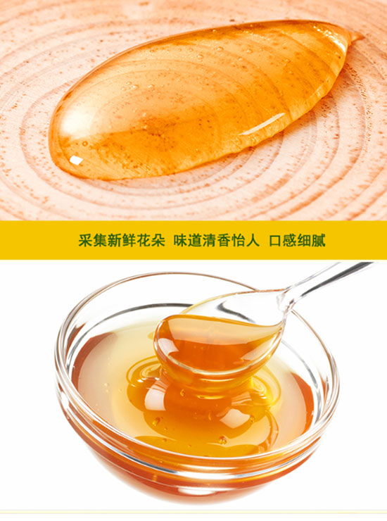 青蜂港洋槐蜂蜜 青蜂港洋槐蜂蜜