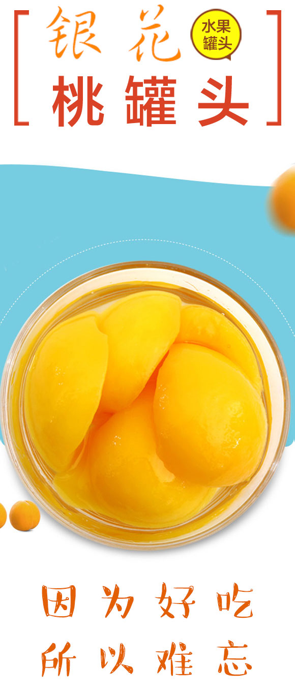 �y���ҹ��^1650g