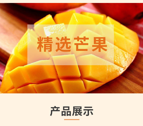 ������â����ζ���