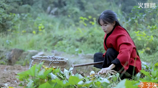 成立食品公司,李子柒正式進(jìn)入食品圈! 成立食品公司,李子柒正式進(jìn)入食品圈!