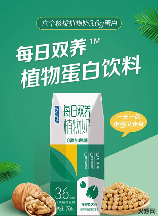 六個核桃植物奶 六個核桃植物奶