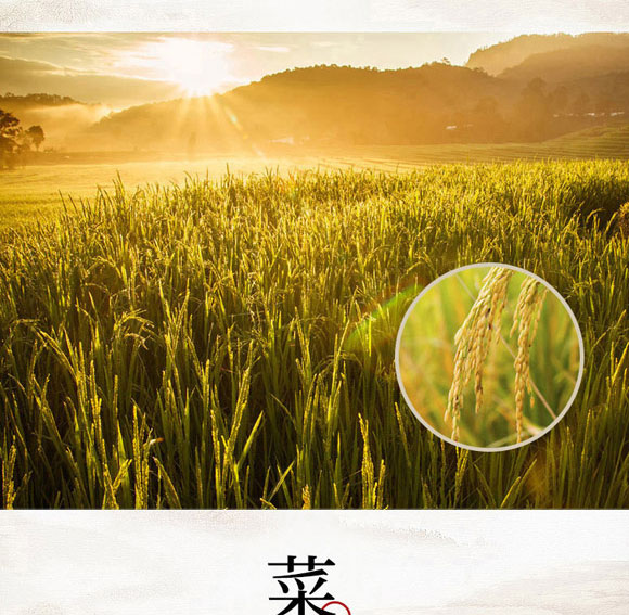 ����ԥԪʳƷ���޹�˾-�����08_04