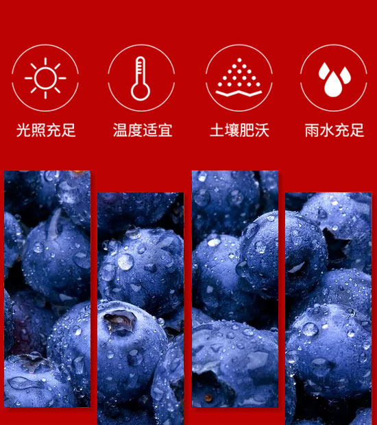 �����ȫ�RʳƷ������޹�˾-��֭20_04