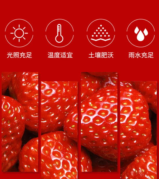 �����ȫ�RʳƷ������޹�˾-��֭16_04