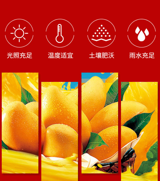 漯河市全匯食品飲料有限公司-果汁13_04 漯河市全匯食品飲料有限公司-果汁13_04