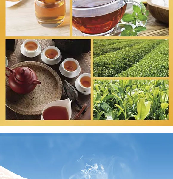 ��ɭ���t��1L 