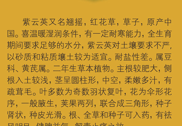 �f��������Ӣ����