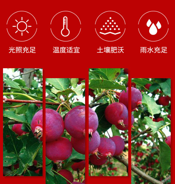 ��(n��i)�ɹ��r(n��ng)���Ʒ�Ƽ��_(k��i)�l(f��)����؟(z��)�ι�˾-��֭4_04