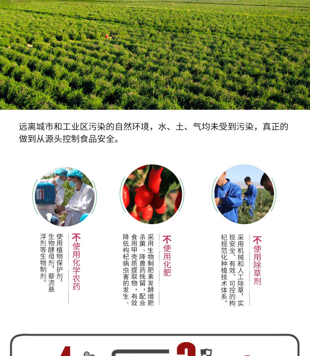 480g�o�r����轶Y��Ԕ���_05