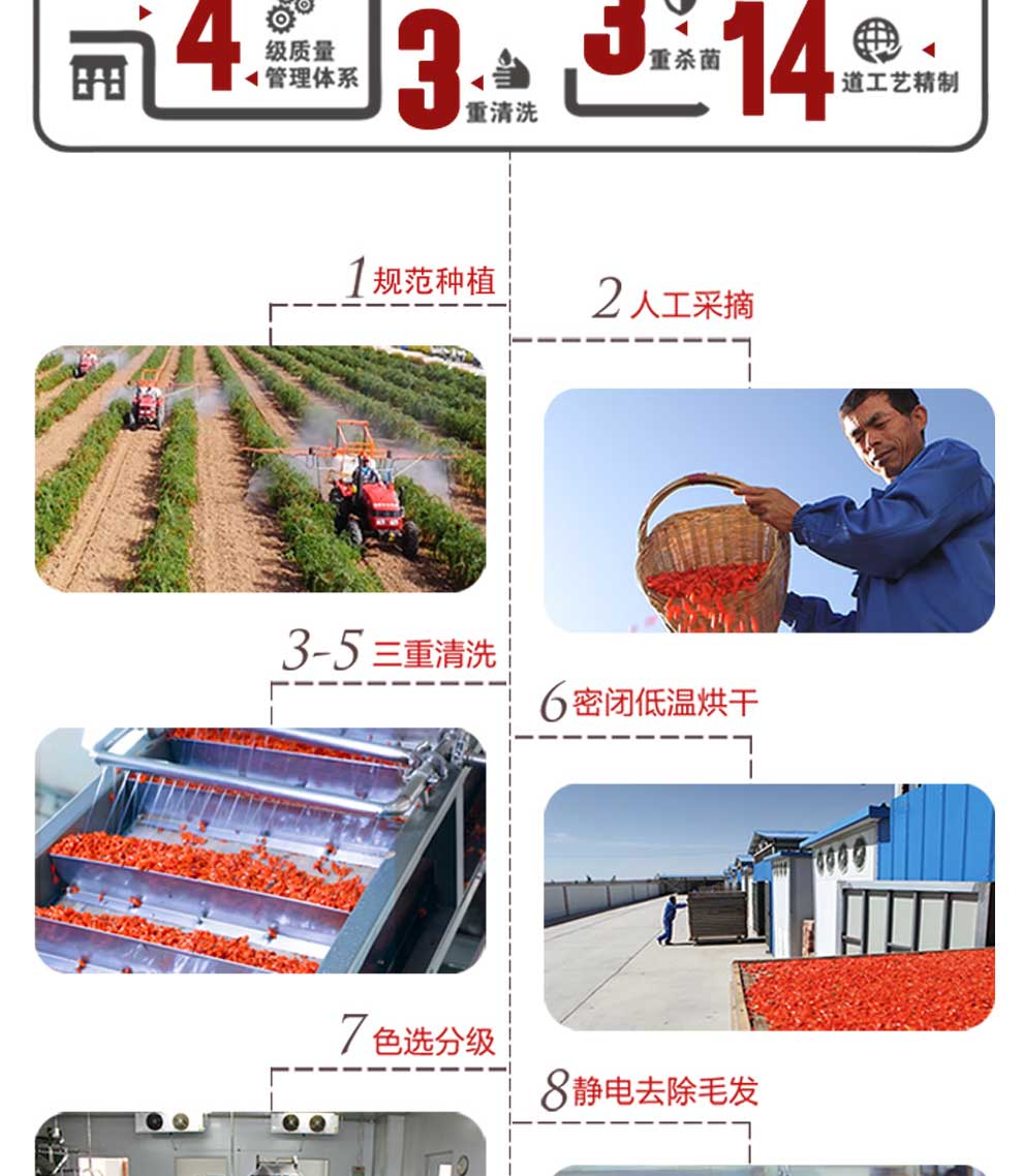 480g�o�r����轶Y��Ԕ���_06