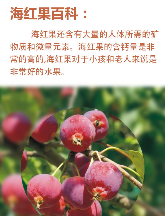 ɽ�����t��ʳƷ���޹�˾-�{(l��n)ɫ������_02