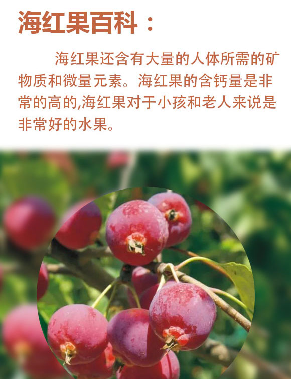 ɽ�����t��(sh��)ʳƷ���޹�˾-�{(l��n)ɫ����ƿ_02