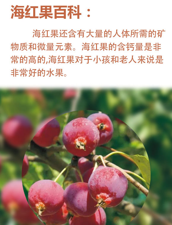 ɽ�����t��ʳƷ���޹�˾-�tɫ������_02