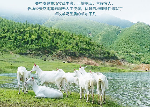 ׿��������200ml_07