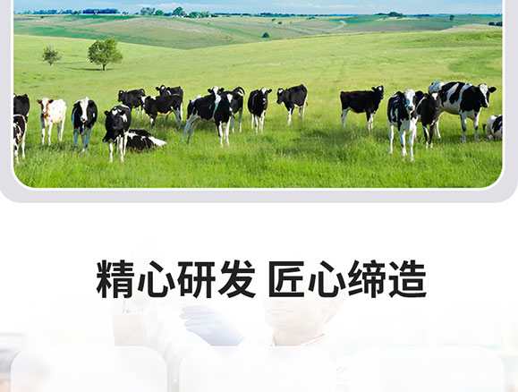 �۶���ԭζ�����Ʒ