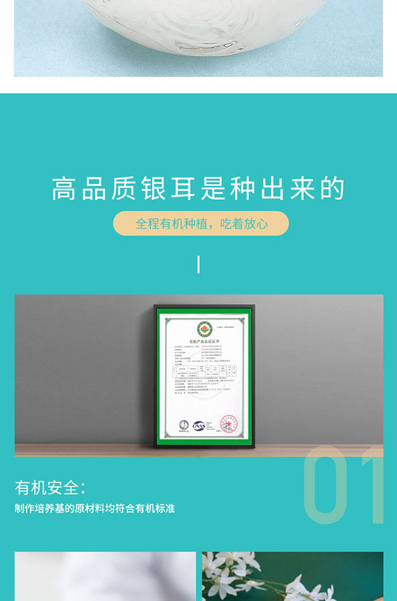 富膠銀耳_05 富膠銀耳_05