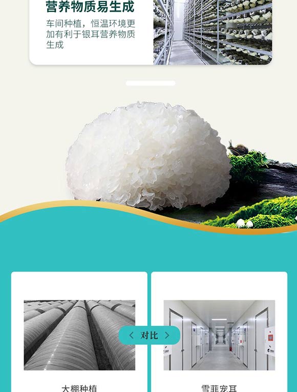 銀耳花_04 銀耳花_04