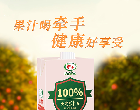 ɽ�|���ֽ����Ʒ���޹�˾-������֭1L_01