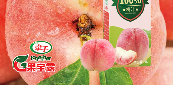 ɽ�|���ֽ����Ʒ���޹�˾-������֭1L_06