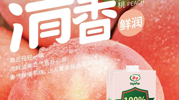 ɽ�|���ֽ����Ʒ���޹�˾-������֭1L_05