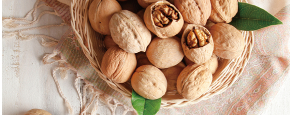 ��������}������ֲ�ﵰ���Ʒ_07