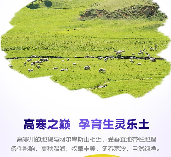 �����������䷽���̷�