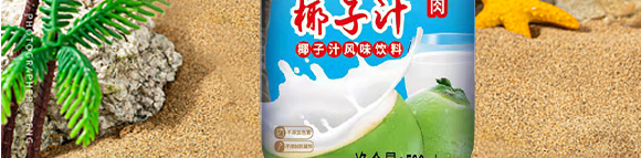 深圳市能充科技有限公司-果力森鮮榨椰子汁椰汁500ml-6_03 深圳市能充科技有限公司-果力森鮮榨椰子汁椰汁500ml-6_03