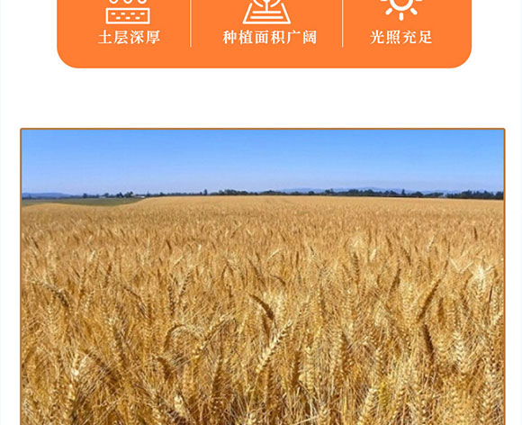 嗨吃家蕎麥魔芋面(黑鴨味) 嗨吃家蕎麥魔芋面(黑鴨味)